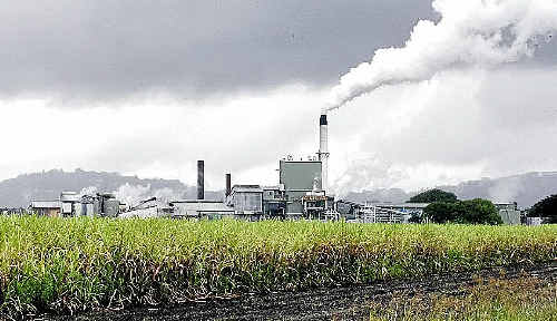 Tweed Shire councillors have voted to “encourage the continued operation of the Condong co-generation facility” and delegate the general manager Mike Rayner to represent the council at any relevant creditors meetings. The Tweed Cane Growers Association president Robert Quirk said the council had “been very supportive”.